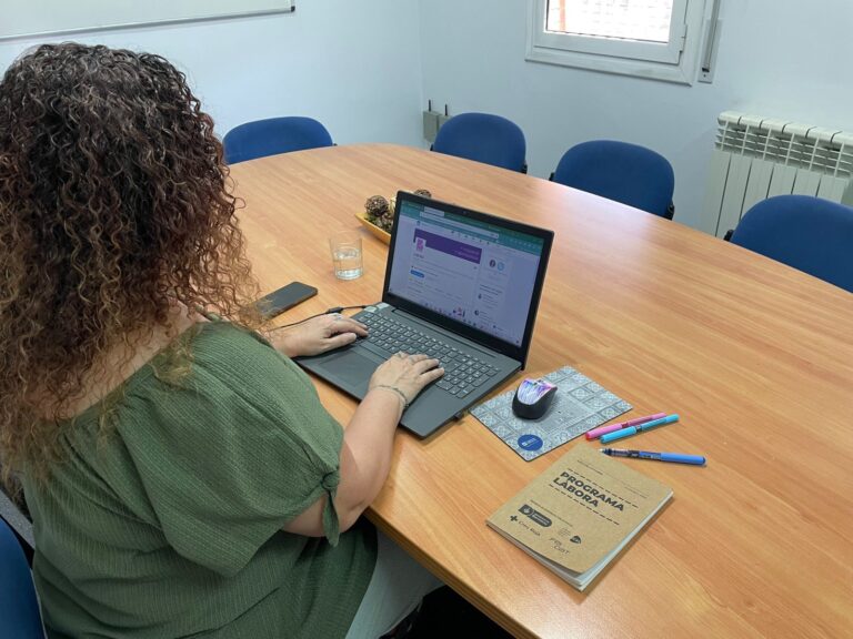 Programes d'inserció laboral